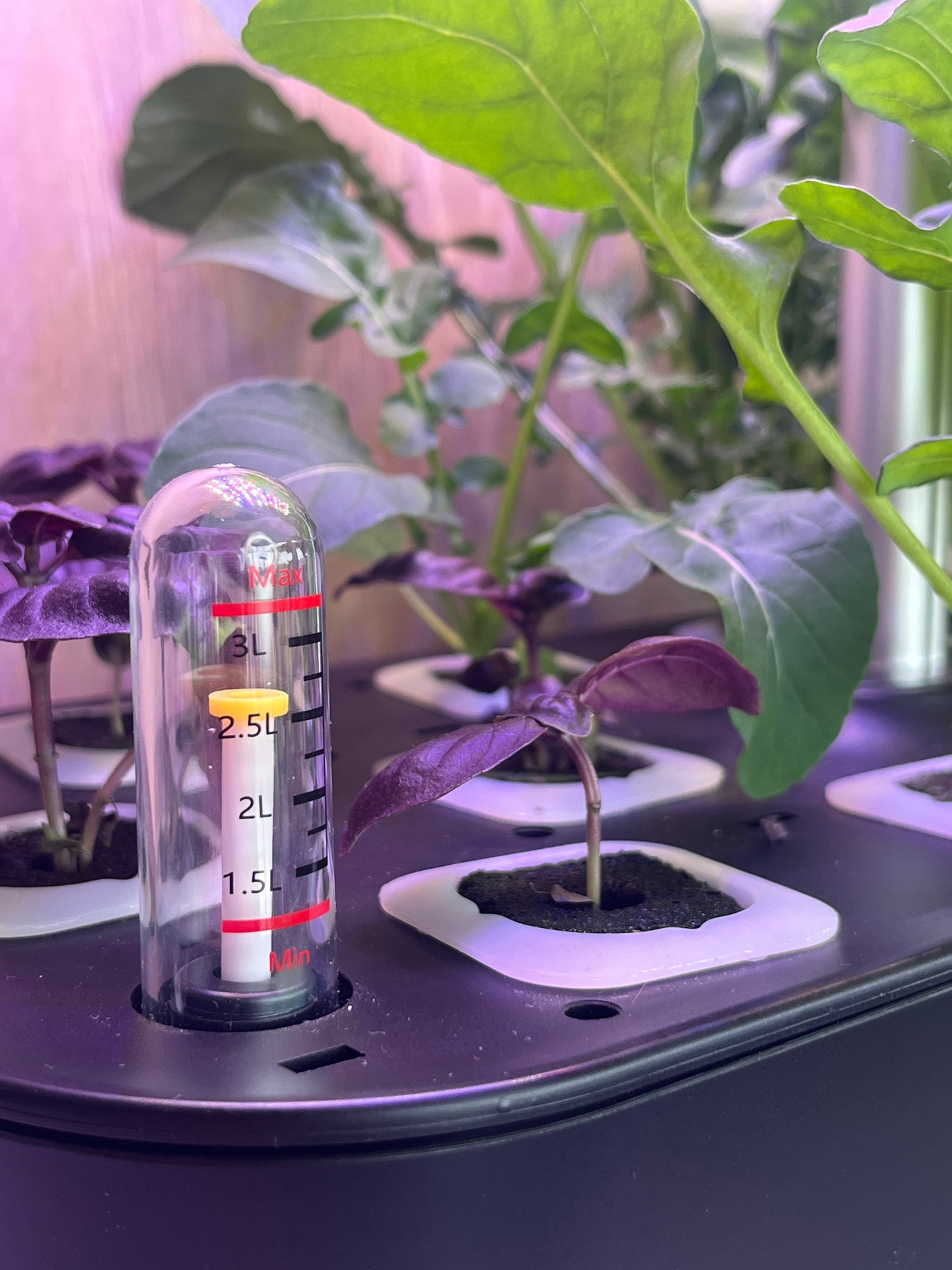 Huerto hidropónico Vita 12