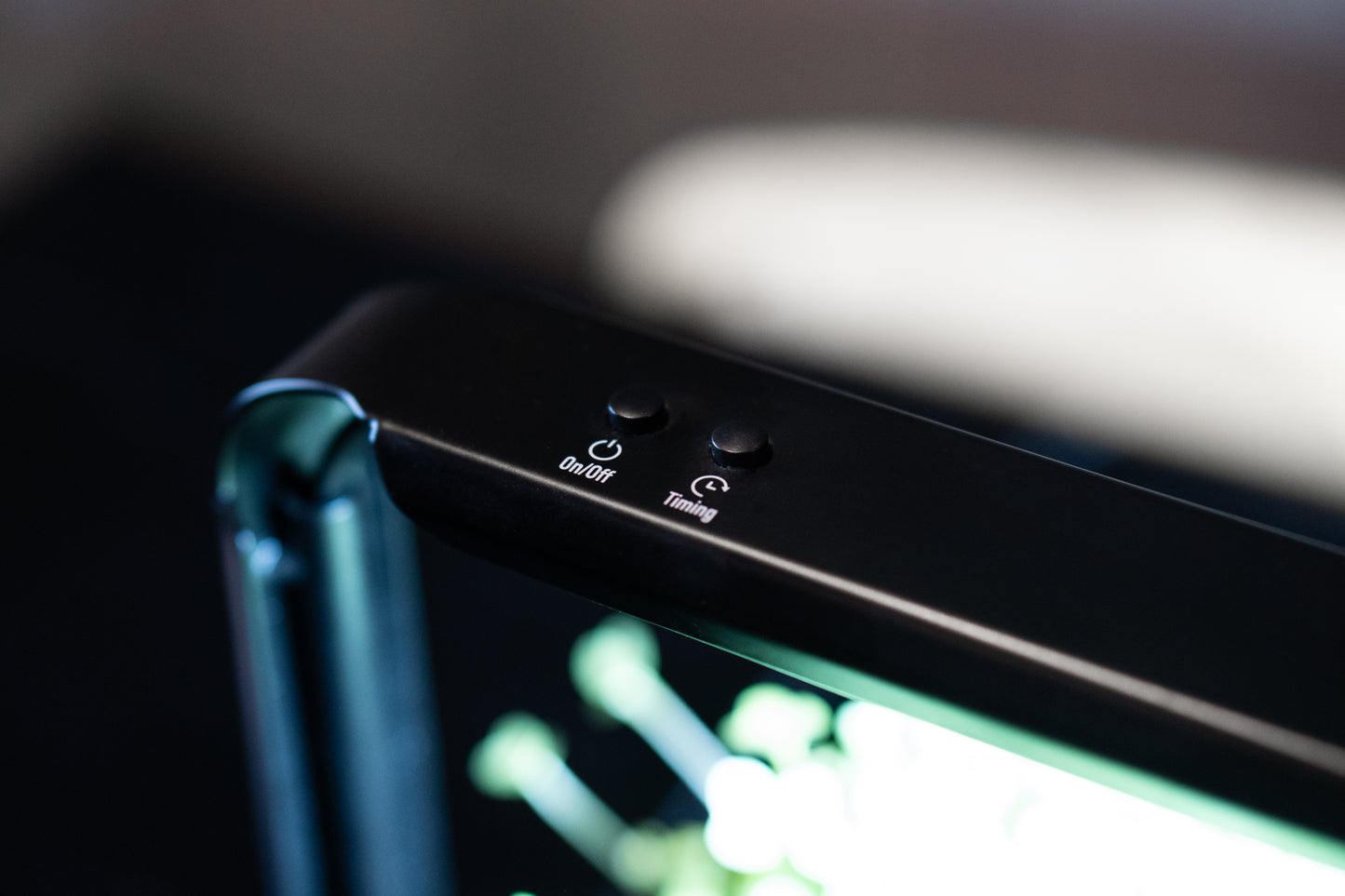 Huerto de microgreens