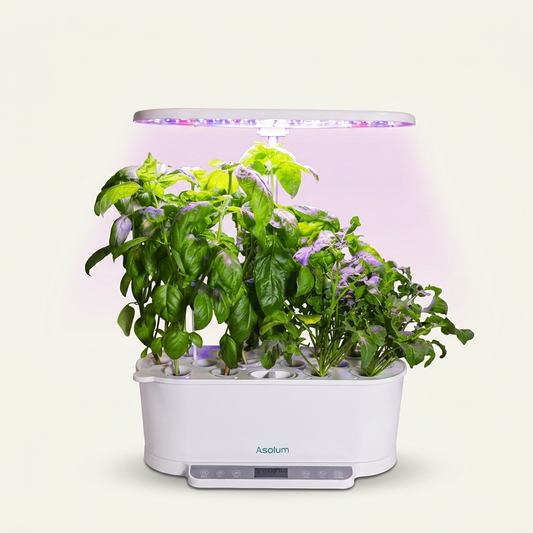 Huerto hidropónico Vita Pro 15