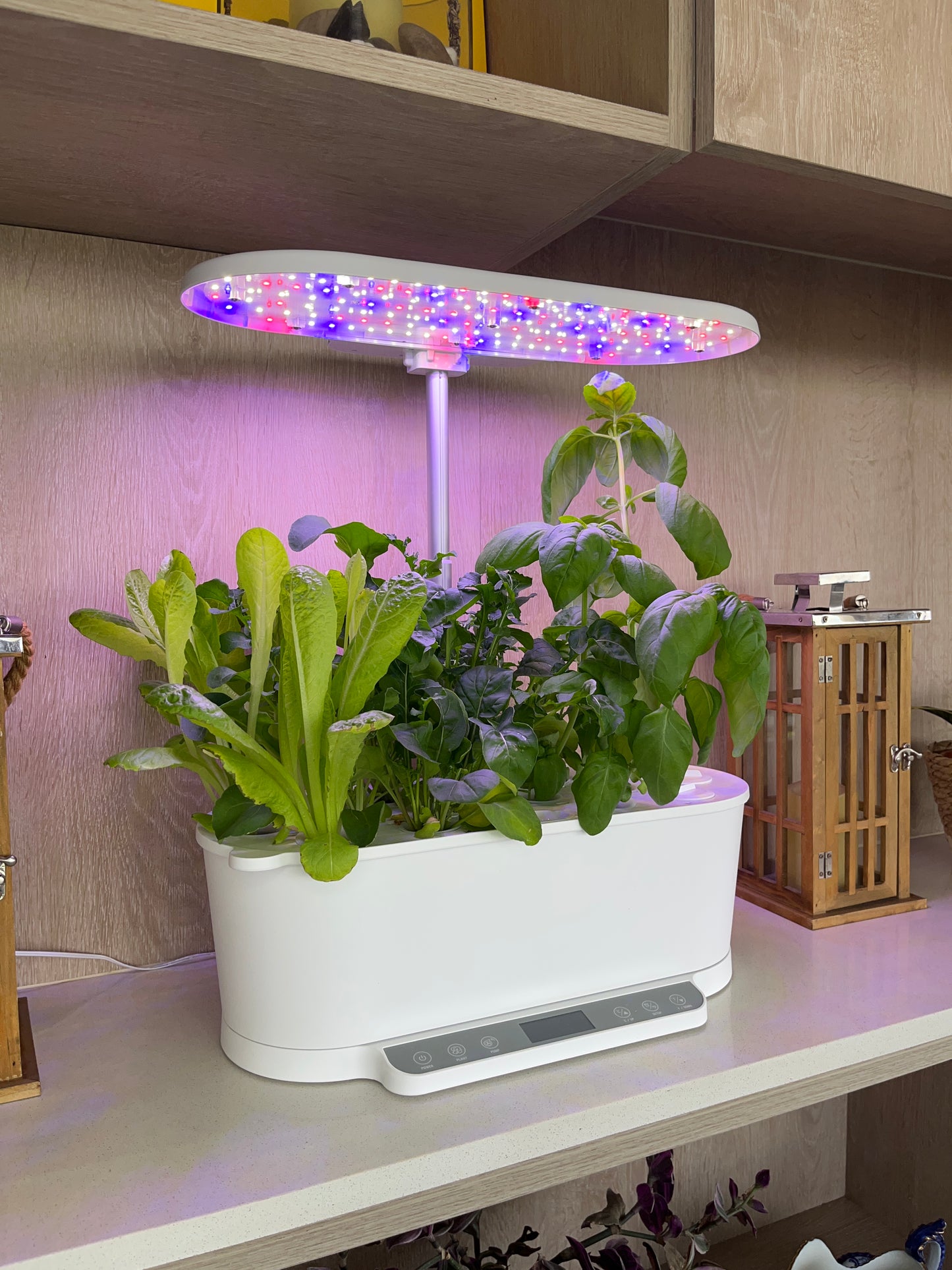 Huerto hidropónico Vita Pro 15