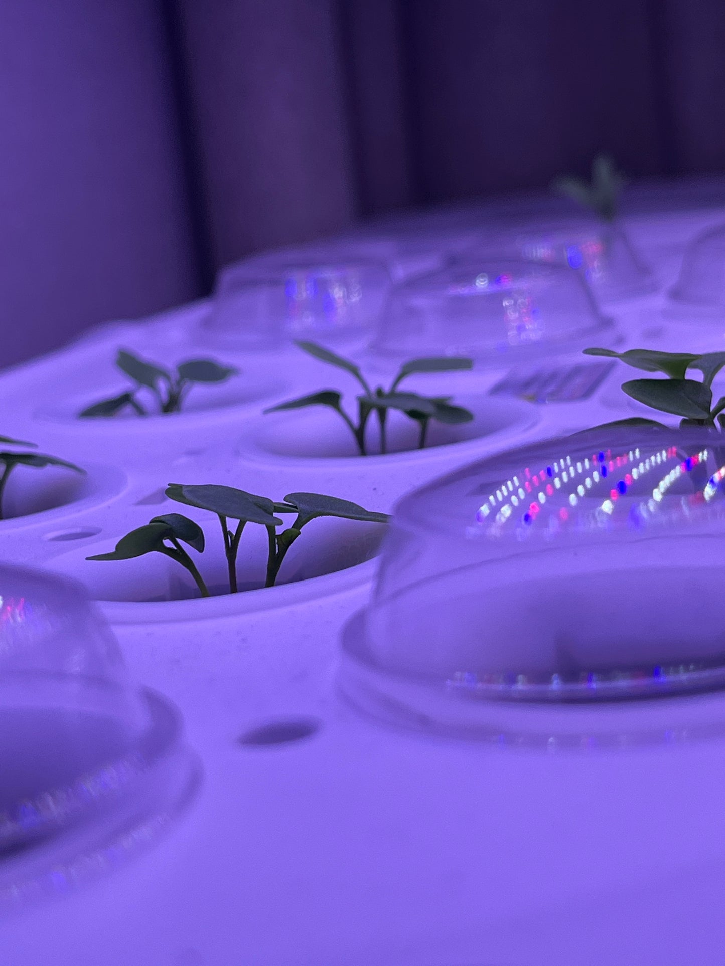 Huerto hidropónico Vita Pro 15