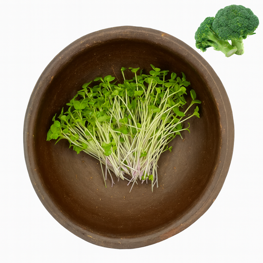 Brocoli