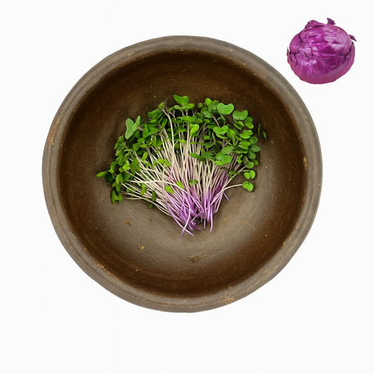 Repollo morado